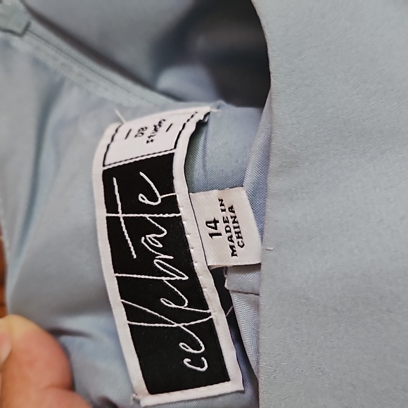 Davids Bridal (celebrate) Bridesmaid dress - Picture 3 of 3